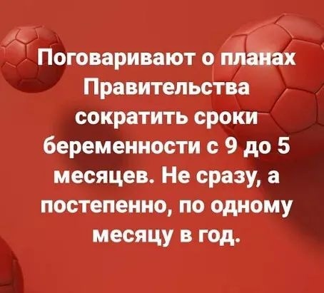 Екатеринбургский митрополит призвал запретить аборты 
Россия находится в демографической яме с начала 21..