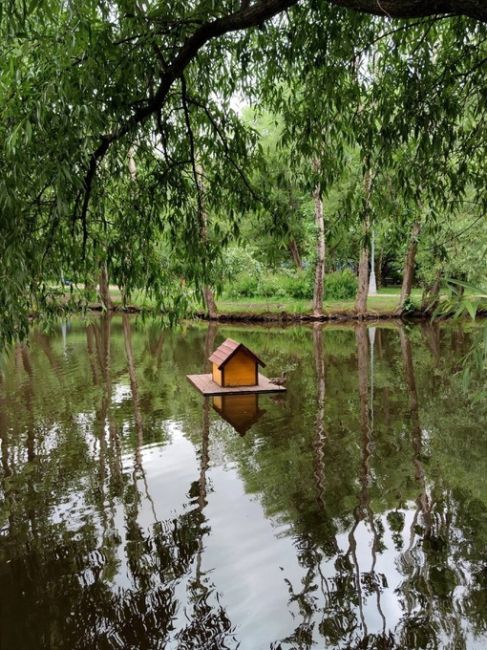 🌳Умиротворяющий Воронцовский..