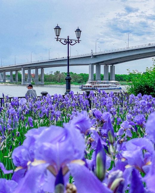 Лето в Ростове будет умеренно жарким. Об этом заявил климатолог Александр Иошпа. 
По словам ученого, на..