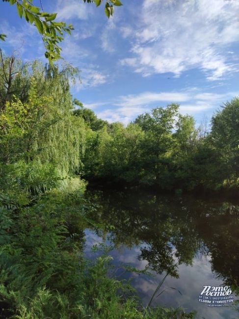 🌿☀ Хутор Колузаево. Расположен на правом берегу реки Дон, напротив впадения в неё реки Койсуг, возле села..