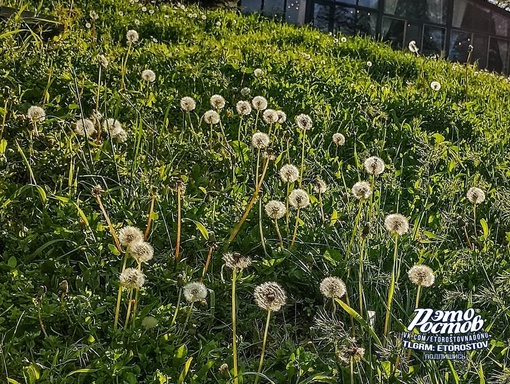 ☀На реке Азовка, Ростовская..