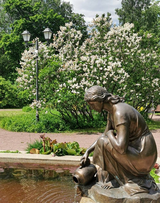 🌷Прекрасный розарий парка "Сокольники".  Фото: Руслан..