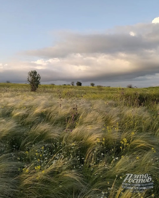 🌾Донская..