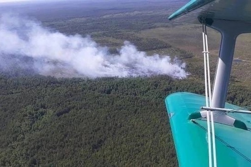 В Керженском заповеднике утро началось неспокойно — там, от удара молнии, случился пожар.
..