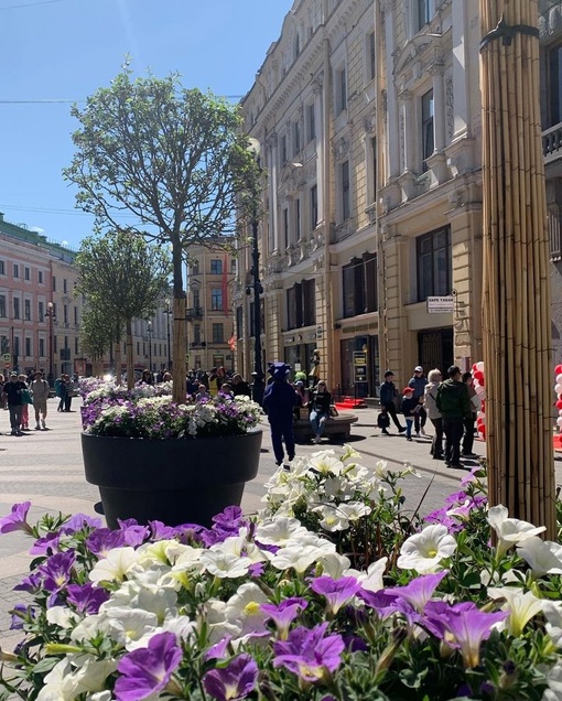 Доброе утро, Санкт-Петербург!..