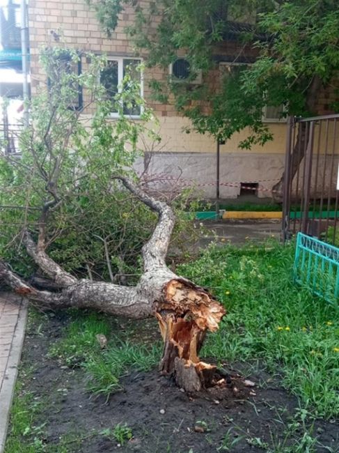 😱 В Красноярске во время вчерашней бури пострадали 14 машин  В мэрии рассказали, что все эти авто стояли во..