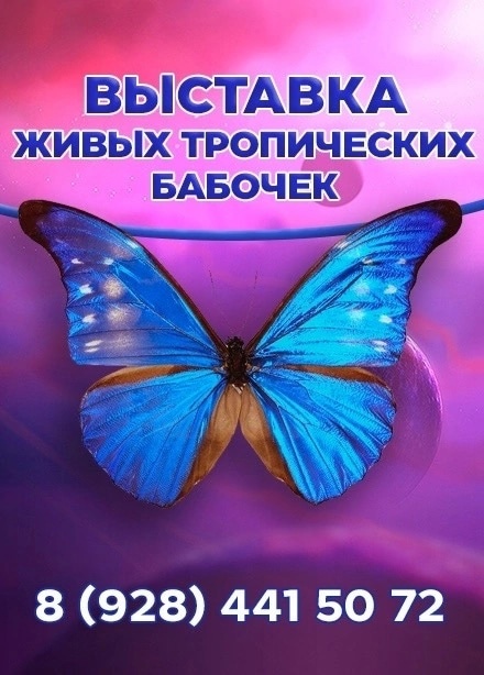 В трк Мегамаг до 2 июля будут проходить следующие выставки:
▫️Бабочки с другой планеты🦋🌏
▫️Мир..