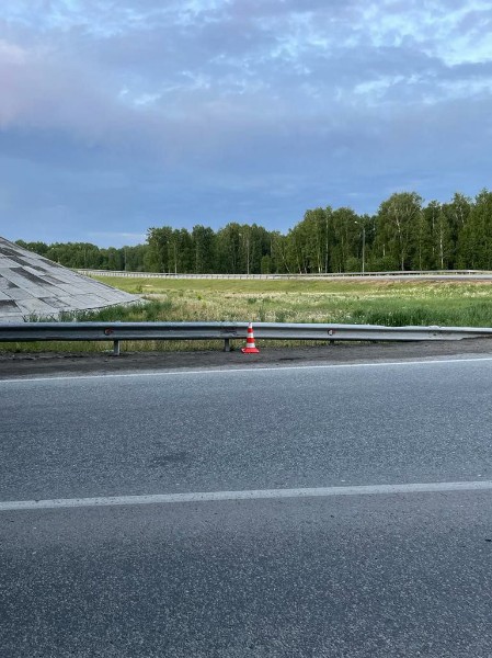 В Новосибирской области в смертельном ДТП погибла мать пятерых детей  ДТП произошло вечером 10 июня на..