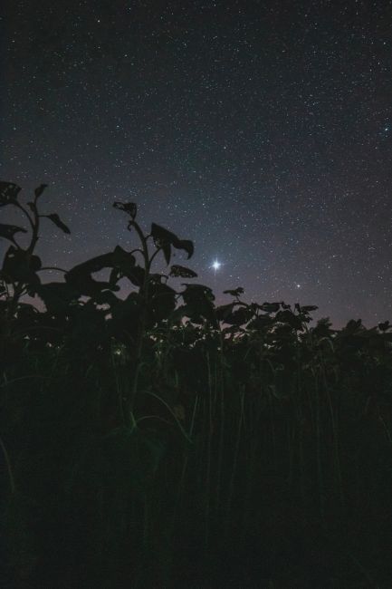 Юпитер и Млечный Путь над Таганрогским заливом 💫  Фото: Артём..