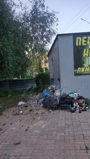 «Санаторий Ростовский. Променадная зона вдоль реки Темерник. Лежала тротуарная плитка. В один прекрасный..