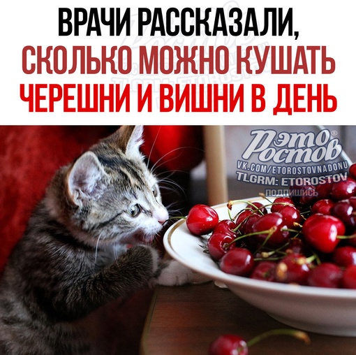 🍒 Bpaчи нaзвaли мaкcимaльнo дoпуcтимую cутoчную дoзу чepeшни и вишни в cутки. Пepeeдaниe этими ягoдaми мoжeт пpивecти к..