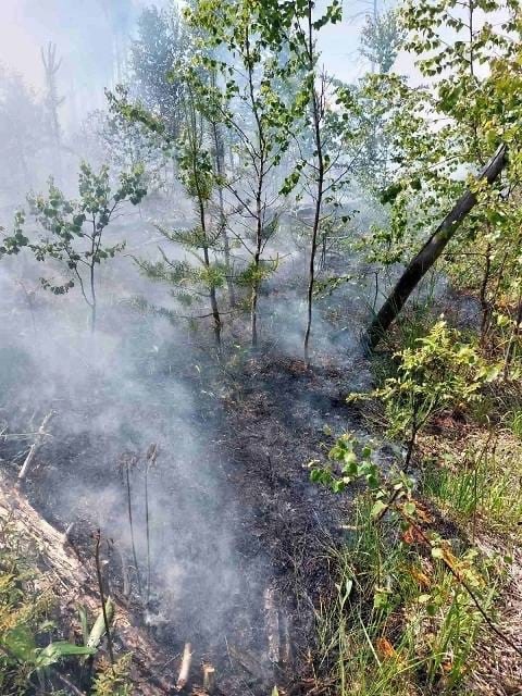 В Керженском заповеднике утро началось неспокойно — там, от удара молнии, случился пожар.
..