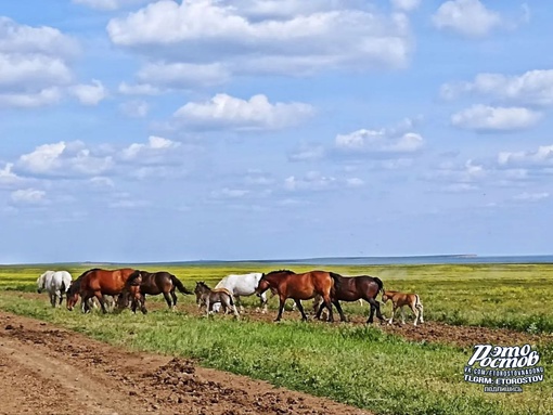 ☀ Заповедник "Ростовский" после..