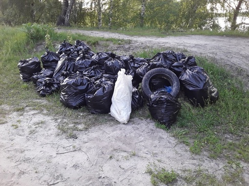 Волонтеры возобновили борьбу за чистоту озера «Силикатное» в Нижнем Новгороде  4 июня волонтеры движения..