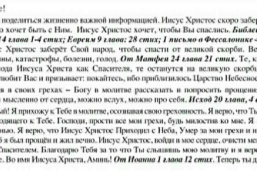 Вместо цветов на клумбах на Максима Горького вырос картофель. Об этом пишет телеграм-канал «Че по-Ростову»...