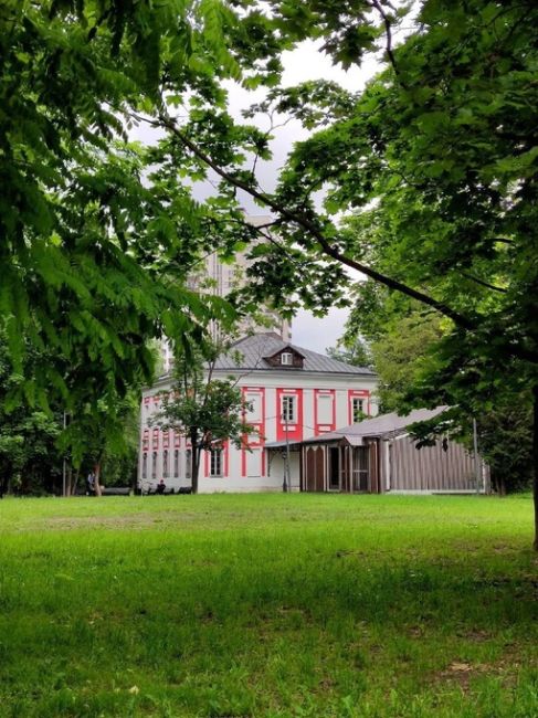 🌳Умиротворяющий Воронцовский..