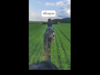 Приглашаем на конные прогулки  в клуб верховой езды "Есаул" 🏇 В этом году мы разработали несколько новых..