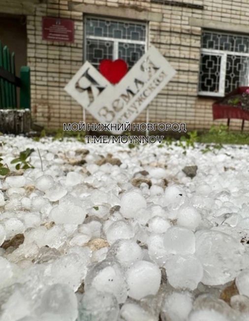 🗣️ В Ветлуге прошел град размером с грецкий..