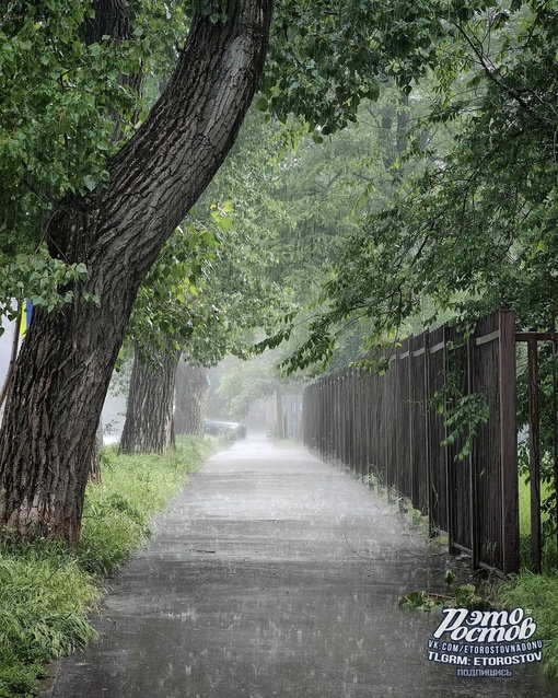 ☔ Дождливая весна выдалась в этом..