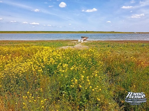 ☀ Заповедник "Ростовский" после..