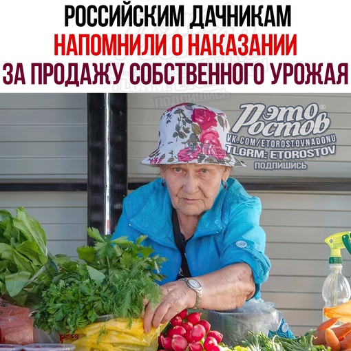 ⚡️🍅 Российским дачникам напомнили о наказании за продажу собственного урожая.  Депутат Госдумы от..