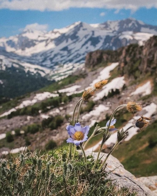 🏔️🐾🐼🏕️📸🌞
"Вот и лето пришло!"
Хребет Каменное море.
Республика Адыгея. Плато Лаго-Наки
📸..