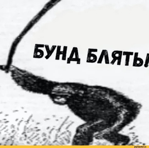 🥩 В одной из ростовских "Пятёрочек" по-прежнему отсутствуют некоторые продукты, которые вчера..