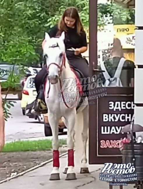 🐎 Даже лошади в Ростове приходят за..