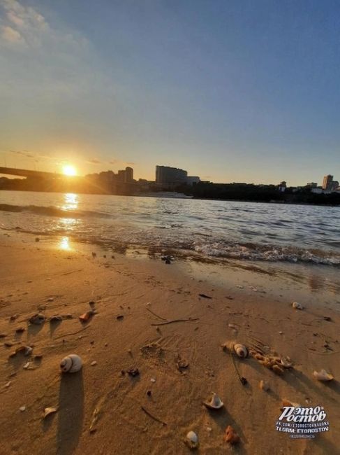 🐚 Ракушки на песках Левого берега Дона..