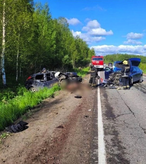 В Ленобласти лось устроил ДТП и трое попали в больницу  Авария произошла сегодня утром на дороге между..