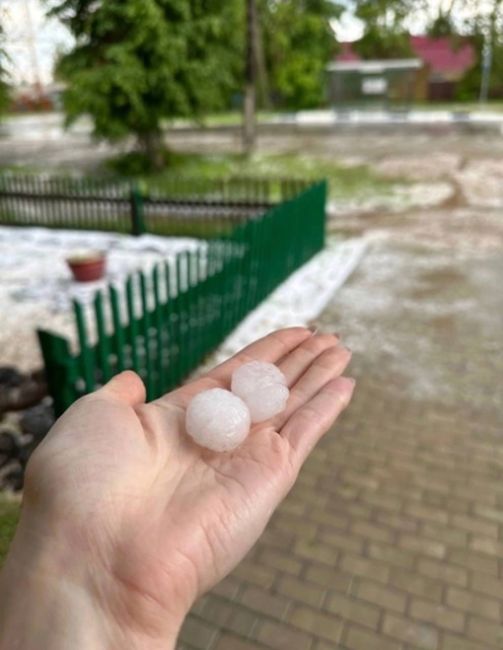 🗣️ В Ветлуге прошел град размером с грецкий..