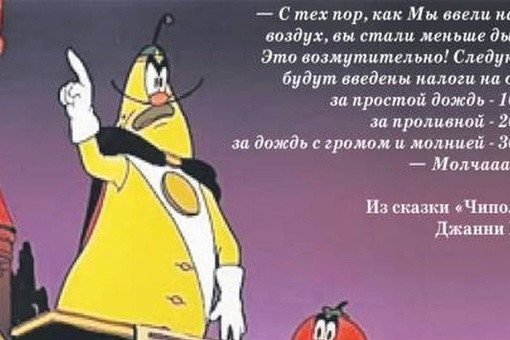 Донские власти начали штрафовать жителей Ростовской области за сжигание сухой растительности.  Первые..