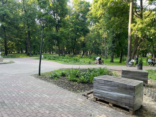 В парке имени Кулибина началось долгожданное благоустройство.  Там планируют обновить дорожки, установить..