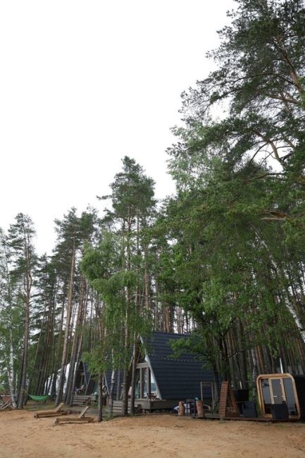 Пасмурное утро на Гореморе🌳🌊
..