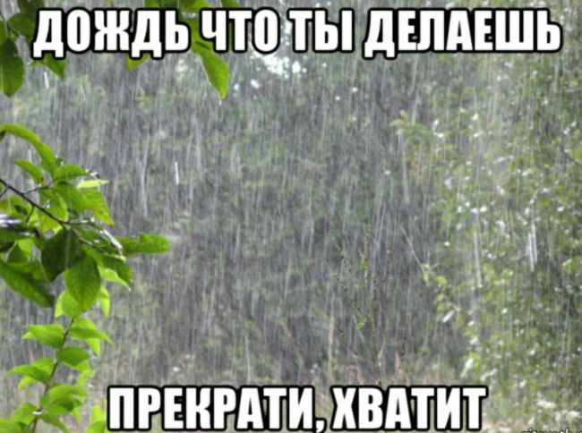 В Ростове на выходных ожидается теплая и облачная погода  В субботу и воскресенье ожидается +24...+27 градусов..