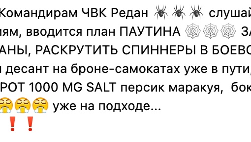 ⚡️Ахмат въезжает в Ростов.  ‼️Напомним, власти Ростовской области призвали избегать скоплений людей и..