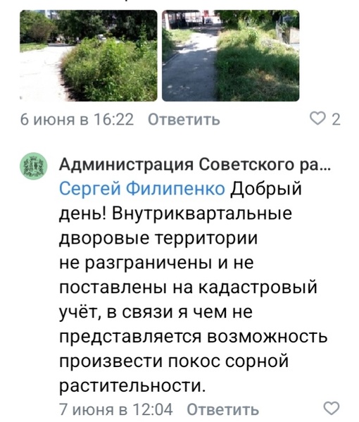 Ростовчанин жалуется на заросли сорняков по пути в школу №46 на Военведе.  «Тут на днях читал новости что..