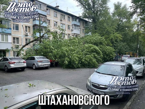 Последствия ночной грозы в Ростове ⚡ Попадали деревья, размыло асфальт.  ⚡Если Вы стали свидетелями..