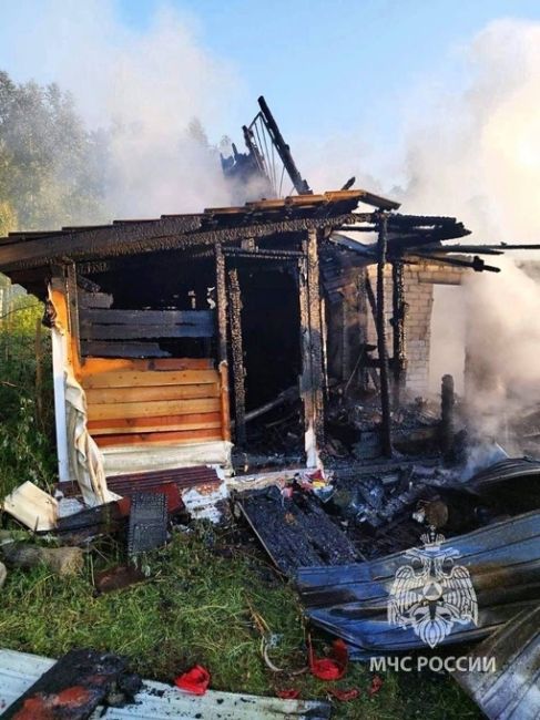 В поселке Большое Пикино сгорел дачный домик.  Спасатели говорят, что пожар начался потому, что в дом попал..