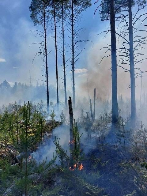 В Керженском заповеднике утро началось неспокойно — там, от удара молнии, случился пожар.
..