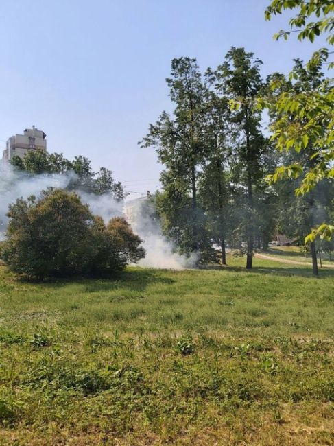 Станция метро Пролетарская. Школьники подожгли тополиный пух, огонь распространяется по всему парку. Весь..