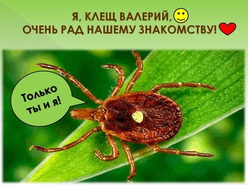 🌼 Свидание на природе по-ростовски..