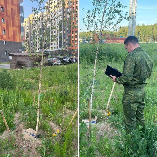 Москвичка убила новорожденного и закопала его во дворе в коробке  Женщина хотела скрыть «выкидыш», но ей..