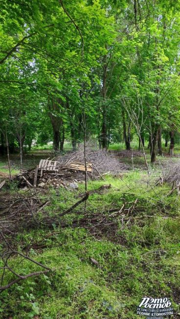 🤔🌳 Уже месяц в парке Дружба на Северном остановлен ремонт. Всё брошено, развалено, кабели срезаны и..