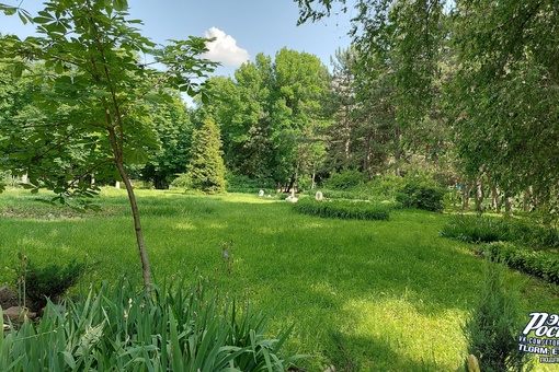 «Экопарк "Первая миля"🌳🍃 Свежий воздух и прекрасные прогулки обеспечены 💚», - делится впечатлениями..