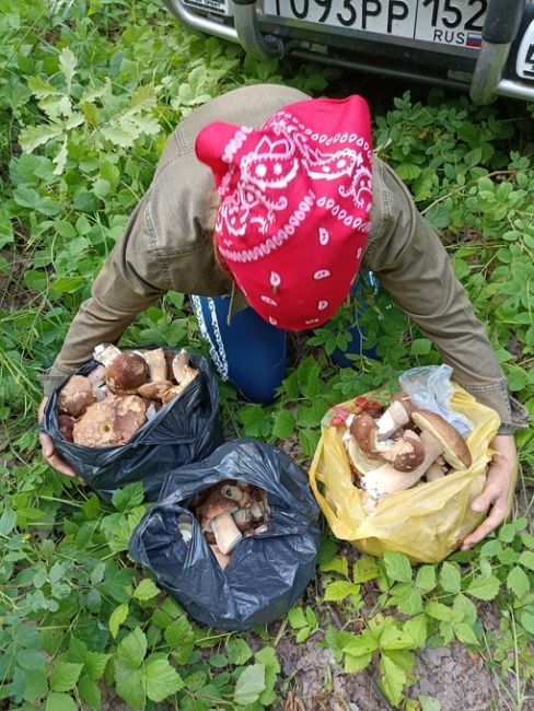 🗣делитесь своими уловами в комментарии  Фото: Вера..