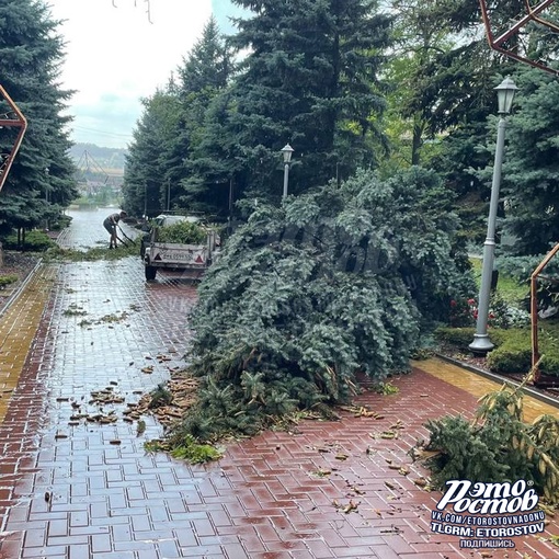 🌳⚡ Последствия вчерашнего урагана под Таганрогом, в селе Покровcкоe. В парках повалило деревья, на улице..