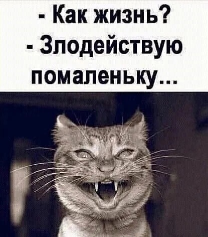 Волгодонск полностью эвакуируют, если на территории Ростовской области начнутся боевые действия.  Об этом..