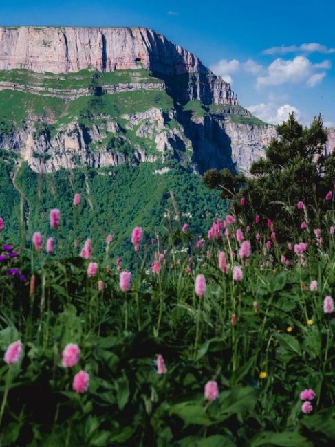 Хребет Бамбаки.  Bambaki mountain range, Krasnodar region, Russia.  Определенно, одно из самых красивых мест Краснодарского края,..