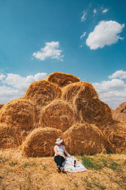 На сеновале в окрестностях Волгодонска  📸 Фото: Артём..